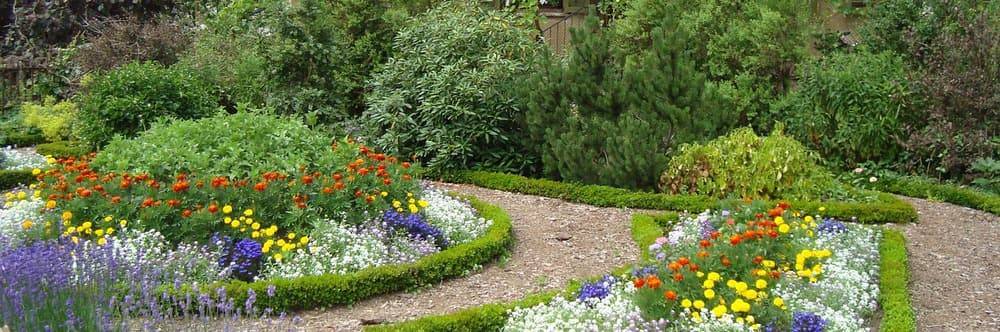 גינה שמשנה את האווירה