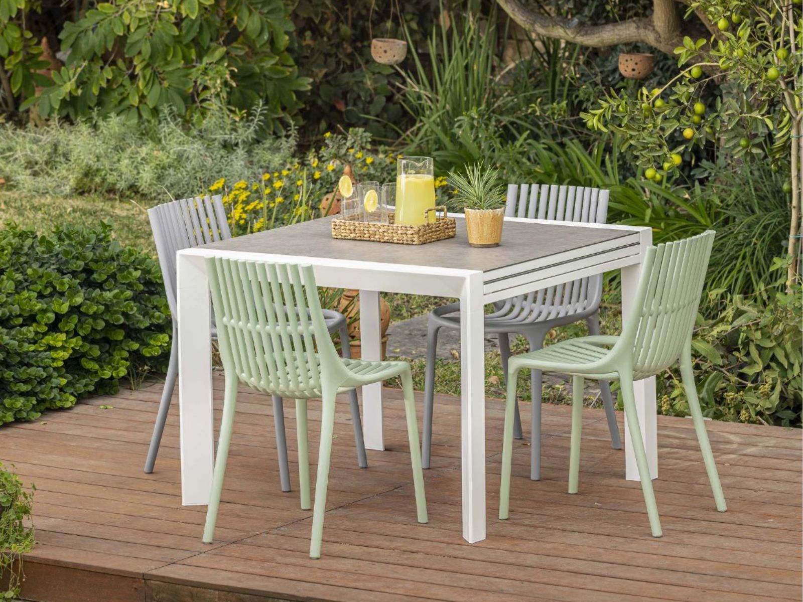 באזל - שולחן נפתח